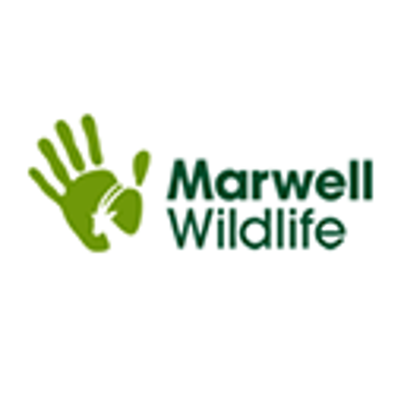 Marwell Wildlife Coupons & Promo Codes